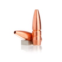 LeHigh Defense High Velocity Controlled Chaos Copper 224 CAL 55Grn Bullet (100 Pack) (05224055CuSP)