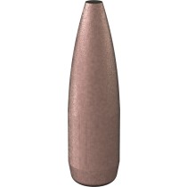 Speer Gold Dot Bullet 22 CAL (.224) 62Grn (100 Pack) (SP22462GDB)