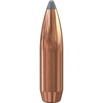Speer SPBT Bullet 25 CAL (.257) 120Grn (100 Pack) (SP1410)