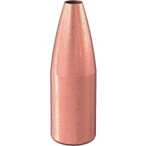Speer TNT Bullet 20 CAL (.204) 39Grn (100 Pack) (SP1015)