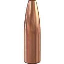 Speer Varmint HP Bullet 25 CAL (.257) 100Grn (100 Pack) (SP1407)
