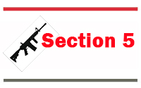 Section 5